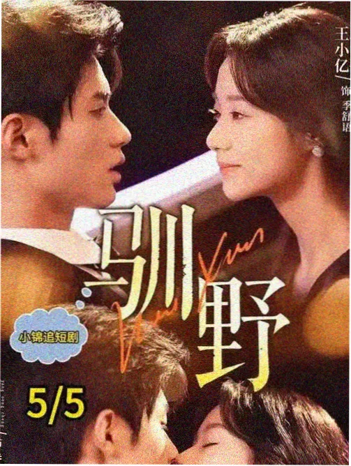中文免费高清在线观看电视剧全集爱